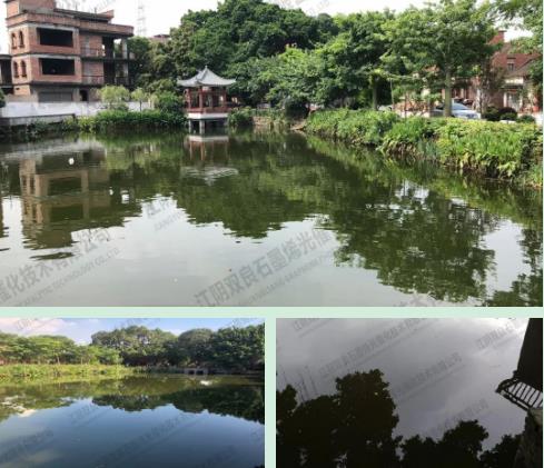 泓濟(jì)動(dòng)態(tài)丨相聚宜興環(huán)?？萍汲?共商村鎮(zhèn)污水新模式