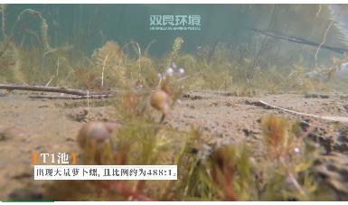 保護(hù)生物多樣性雙良環(huán)境在行動(dòng)！