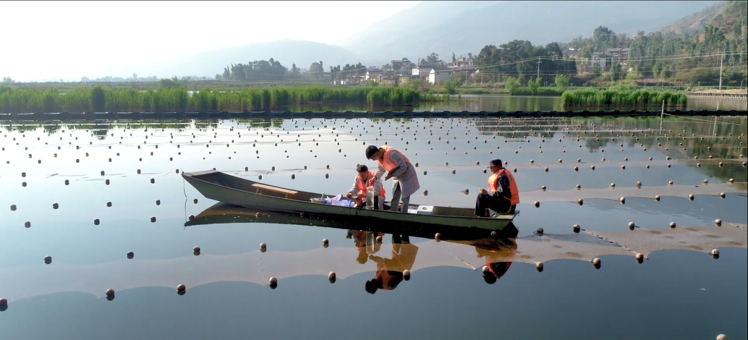 巡河并調(diào)研病險(xiǎn)水庫(kù)、農(nóng)村污水治理工程