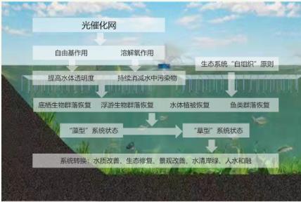 安新縣唐河污水庫(kù)綜合整治已經(jīng)開(kāi)始動(dòng)工