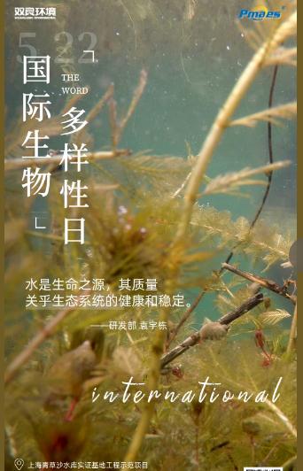 5.22生物多樣性日｜共護(hù)碧水清波，共建和諧生態(tài)！